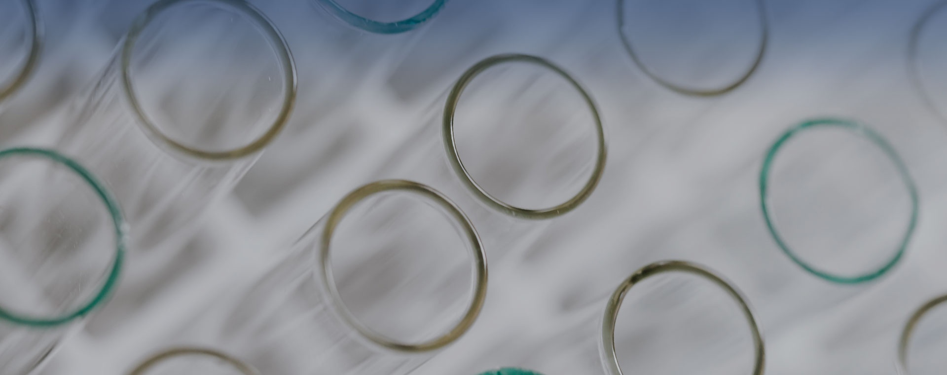 1621826224225837 1621826224225837